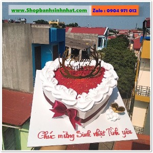 Bánh Sinh Nhật Đẹp - TK244